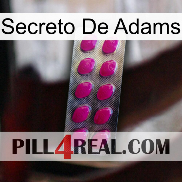 Adams Secret 09.jpg